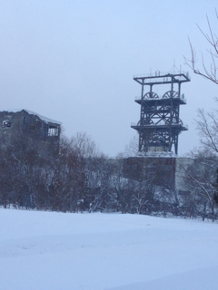 image-20130131084324.png