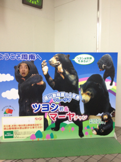 image-20130209170114.png