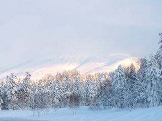 image-20130115163857.png